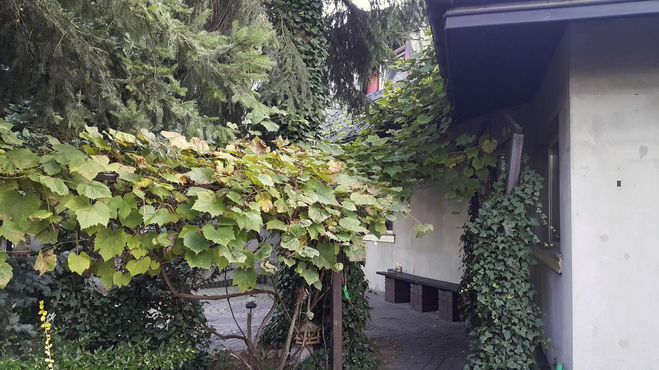Pensjonat Europa Brzeziny Kültér fotó