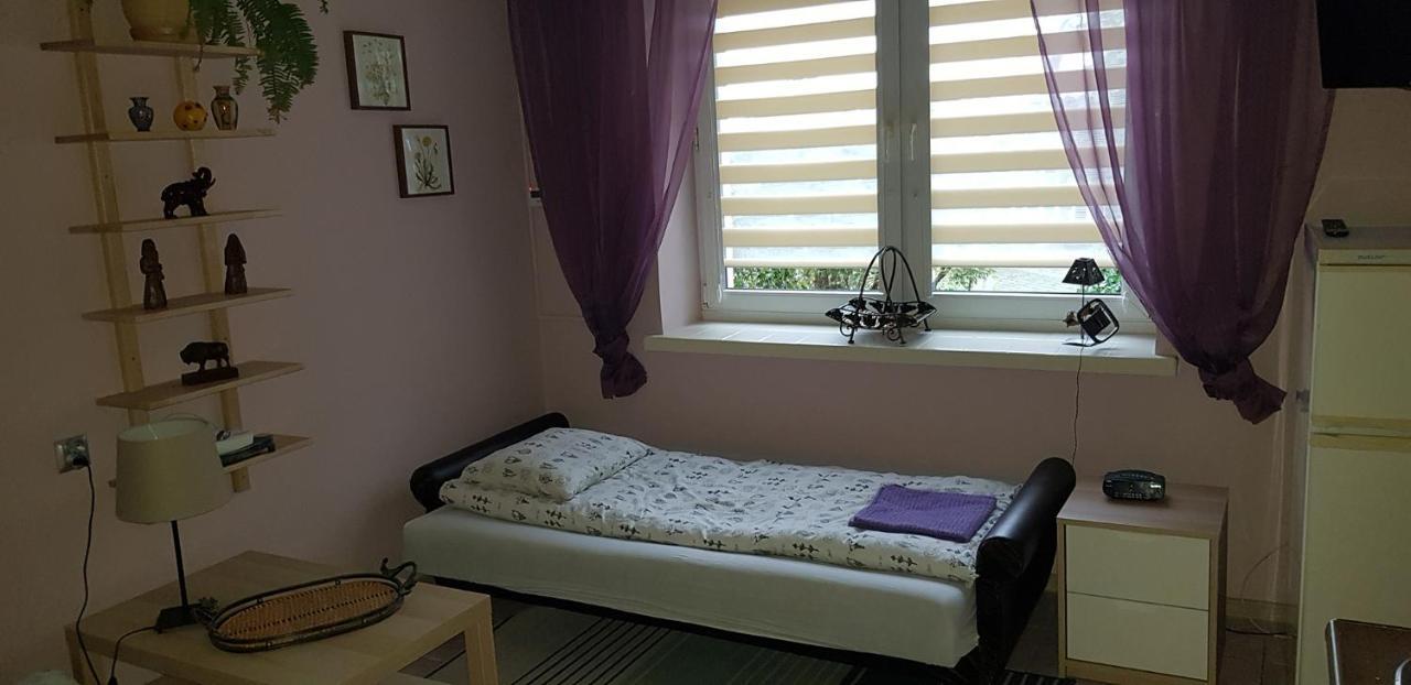 Pensjonat Europa Brzeziny Kültér fotó